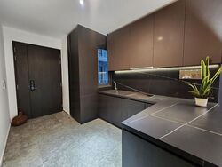 Hyll On Holland (D10), Condominium #632047401